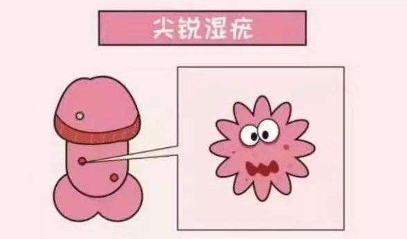 微信截图_20230827153537 微信截图_20230827153537